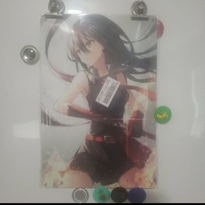 Akame ga kill tin wall hanger
